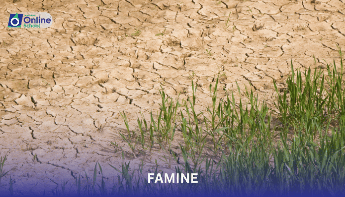 Lesson 12: Unraveling Famine: Causes and Consequences